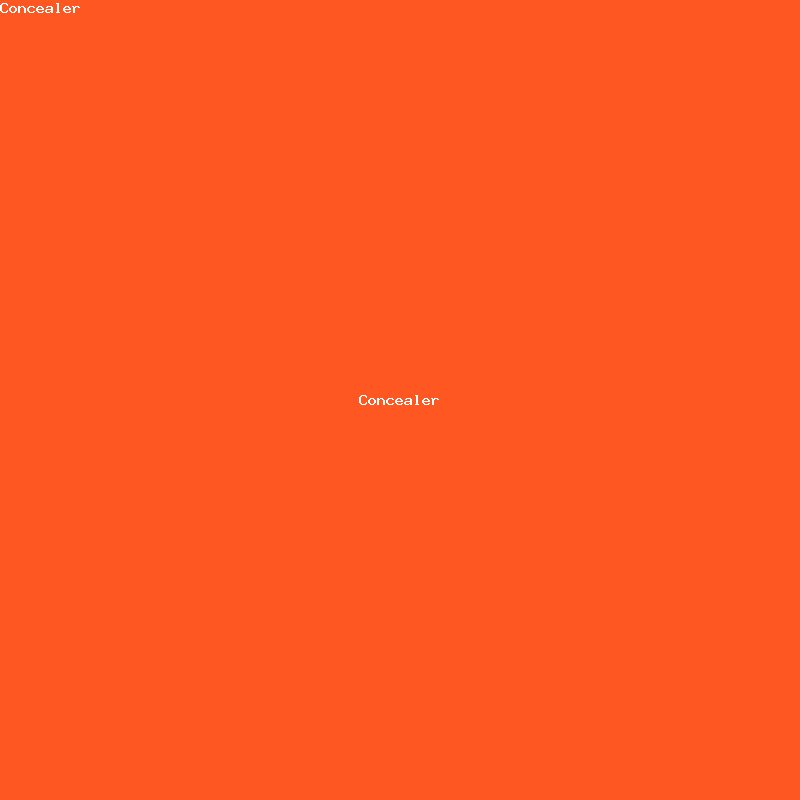 Concealer - Image 4